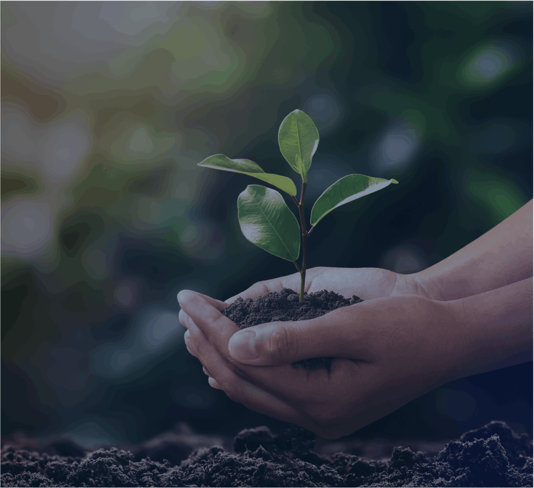 Planting growth and resilience with ESG